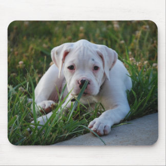 White Boxer Puppy Mouse Pad