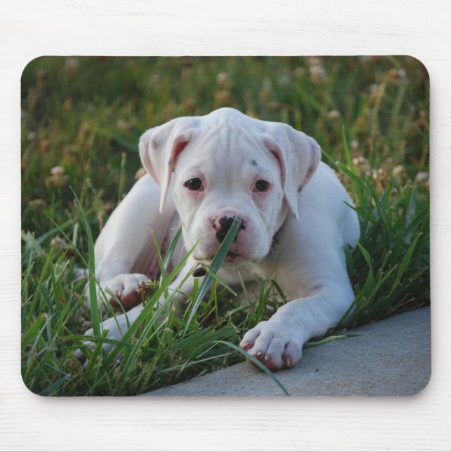 White Boxer Puppy Mouse Pad (Front)
