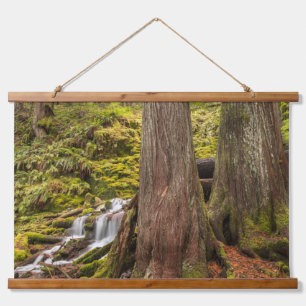 White Branch Falls, Oregon Cascades, Oregon Hanging Tapestry