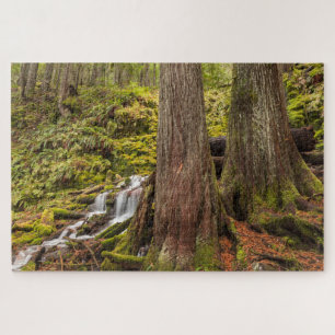 White Branch Falls, Oregon Cascades, Oregon Jigsaw Puzzle