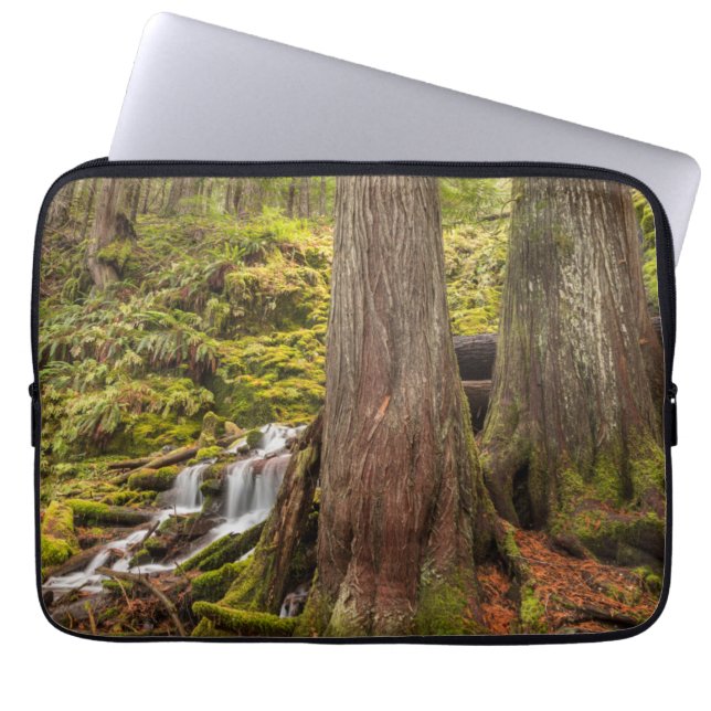 White Branch Falls, Oregon Cascades, Oregon Laptop Sleeve (Front)