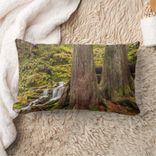 White Branch Falls, Oregon Cascades, Oregon Lumbar Cushion