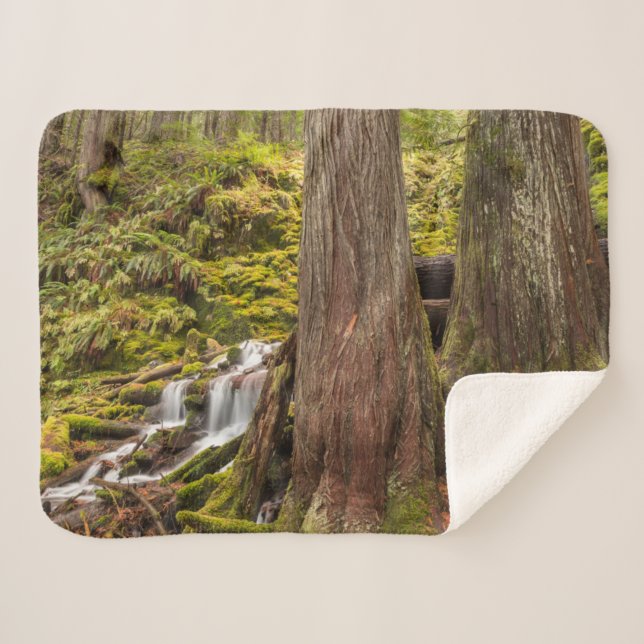 White Branch Falls, Oregon Cascades, Oregon Sherpa Blanket (Front (Horizontal))