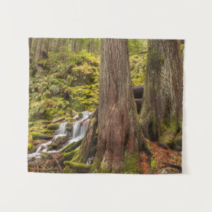 White Branch Falls, Oregon Cascades, Oregon Tapestry