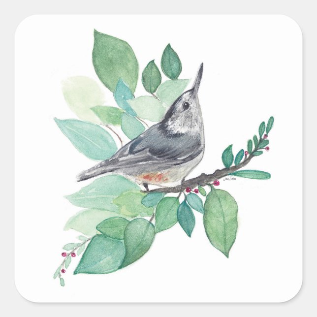 White Breasted Nuthatch Art Square Sticker (Front)