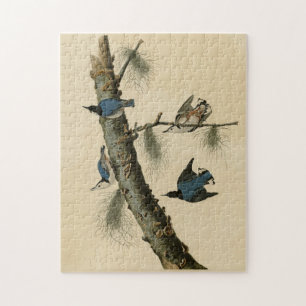 White Breasted Nuthatch Audubon's Birds of America Jigsaw Puzzle