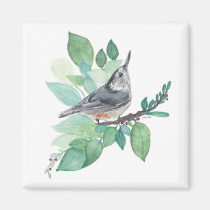 White Breasted Nuthatch Bird Art Magnet