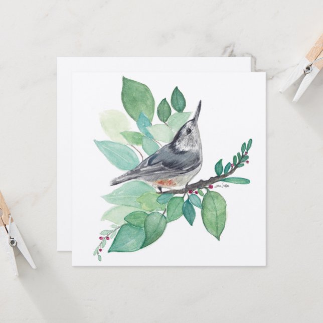 White Breasted Nuthatch Bird Card (Front/Back In Situ)