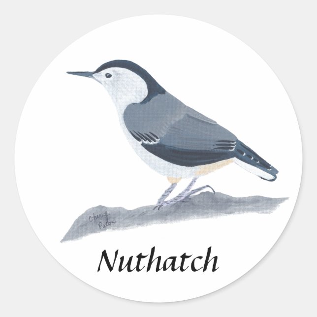 White Breasted Nuthatch Bird Painting Stickers (Front)