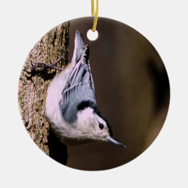 White-Breasted Nuthatch Christmas Ornament (Front)