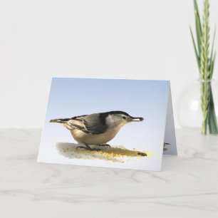 White-breasted Nuthatch Friendship Card