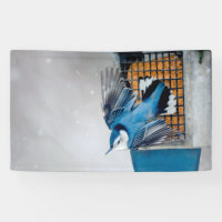 White-Breasted Nuthatch in Snow - Original Photo