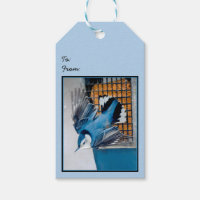 White-Breasted Nuthatch in Snow - Original Photo