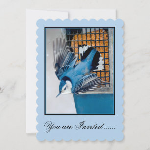 White-Breasted Nuthatch in Snow - Original Photo Invitation