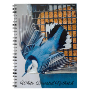 White-Breasted Nuthatch in Snow - Original Photo N Notebook