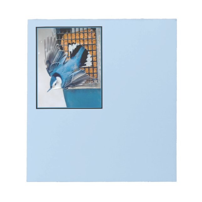 White-Breasted Nuthatch in Snow - Original Photo Notepad (Front)