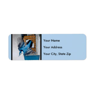 White-Breasted Nuthatch in Snow - Original Photo Return Address Label