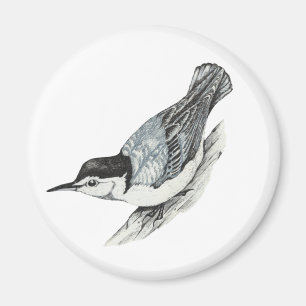 White Breasted Nuthatch Magnet