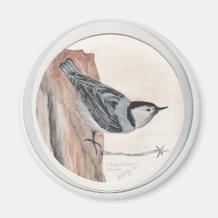 white breasted nuthatch magnet