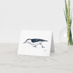 White breasted Nuthatch Note Card