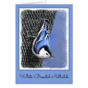 White-Breasted Nuthatch Painting Original Bird Art