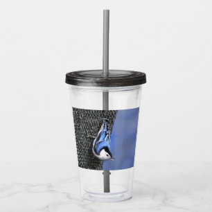 White-Breasted Nuthatch Painting Original Bird Art Acrylic Tumbler