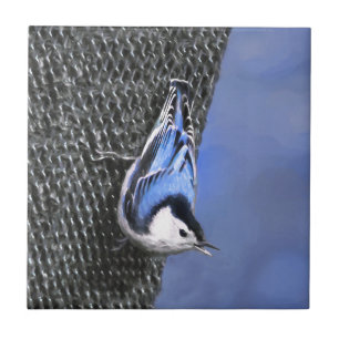 White-Breasted Nuthatch Painting Original Bird Art Ceramic Tile