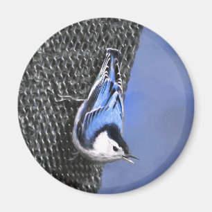 White-Breasted Nuthatch Painting Original Bird Art Magnet