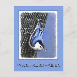 White-Breasted Nuthatch Painting Original Bird Art Postcard