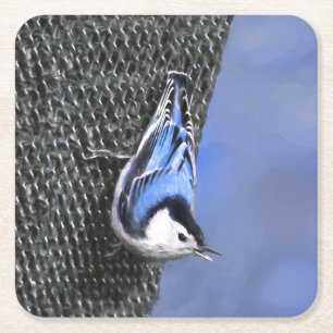White-Breasted Nuthatch Painting Original Bird Art Square Paper Coaster