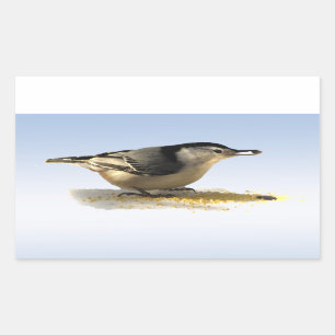White-breasted Nuthatch Rectangular Sticker