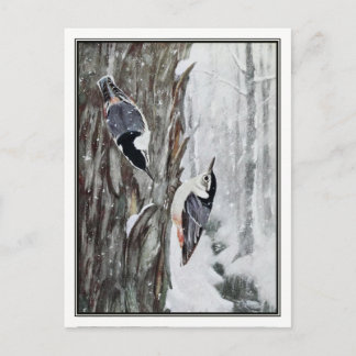 White-Breasted Nuthatch - Robert Bruce Horsfall Postcard