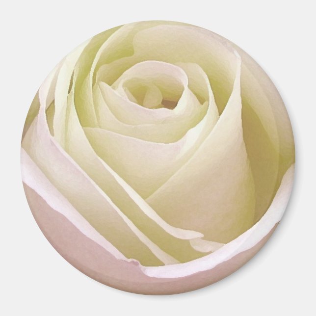 White Bridal Rose Magnet (Front)