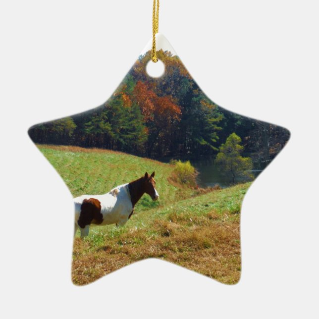 White & Brown horse, Autumn pond Ceramic Ornament (Front)