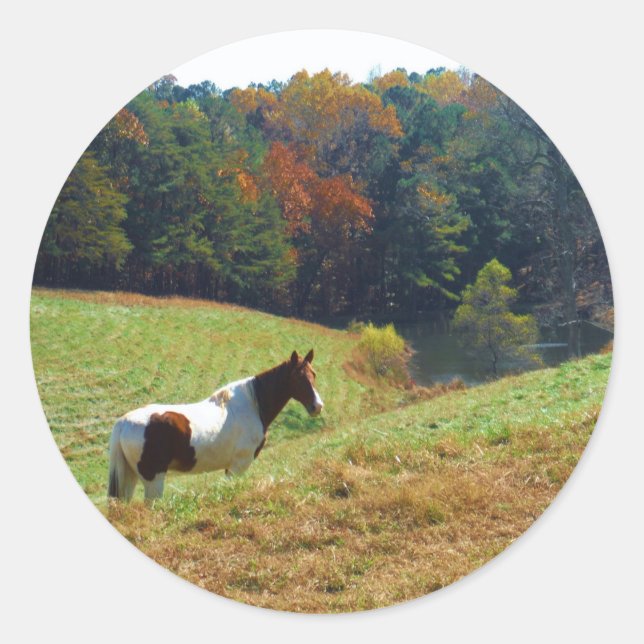 White & Brown horse, Autumn pond Classic Round Sticker (Front)