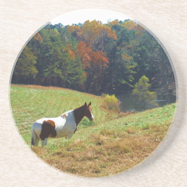 White & Brown horse, Autumn pond Coaster (Front)
