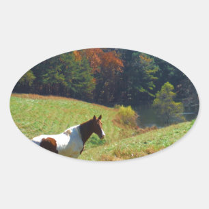 White & Brown horse, Autumn pond Oval Sticker