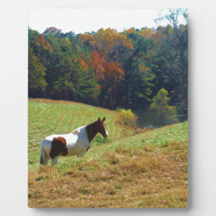 White & Brown horse, Autumn pond Plaque