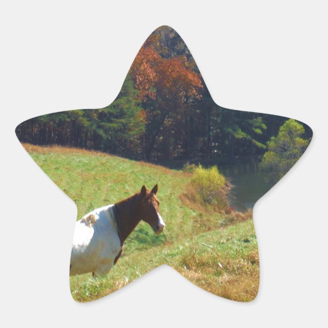 White & Brown horse, Autumn pond Star Sticker (Front)