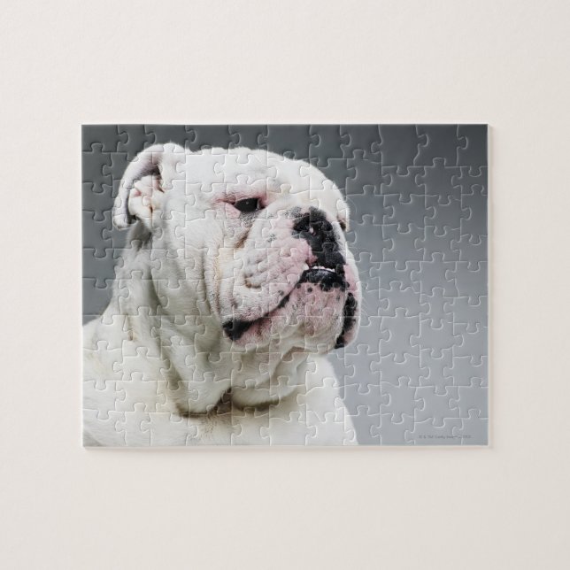 White Bull Dog Jigsaw Puzzle (Horizontal)