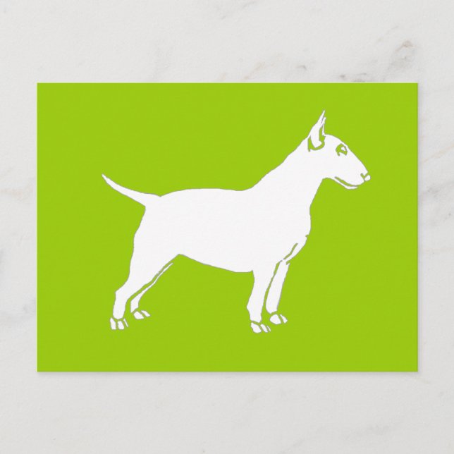 White Bull Terrier Postcard (Front)