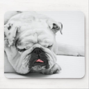White Bulldog Love Mouse Pad