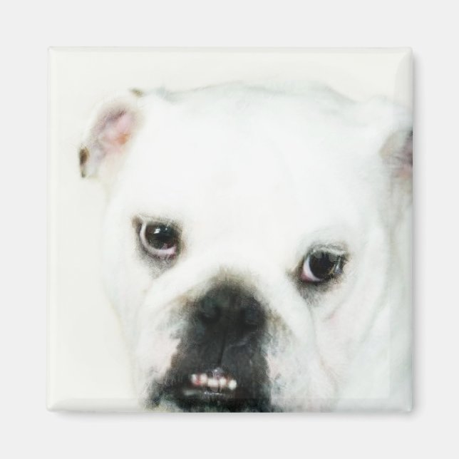 White bulldog magnet (Front)