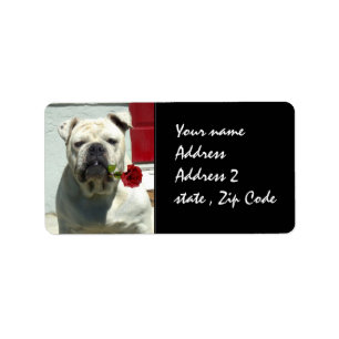 White Bulldog with rose Label