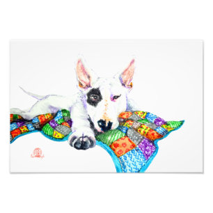White Bullterrier on Patchwork - Art Photo Print
