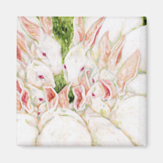 White Bunnies Magnet