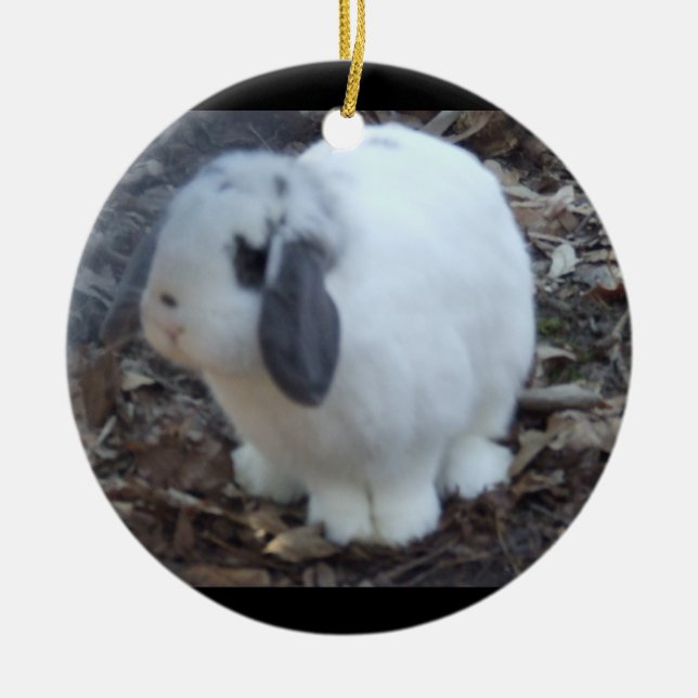 White Bunny Rabbit Happy Easter Ceramic Tree Decoration (Front)