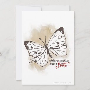 White Butterflies are a Pest