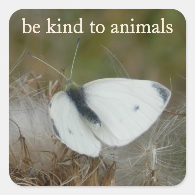 White Butterfly "Be Kind to Animals" Sticker Sheet (Front)