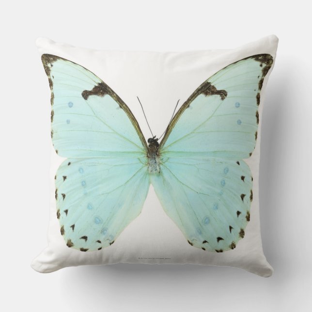 White butterfly cushion (Front)
